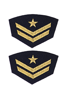 Pack of 2 military badges